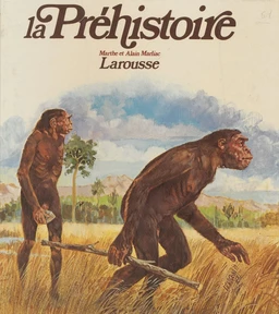 La Préhistoire