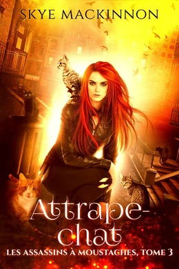 Attrape-chat