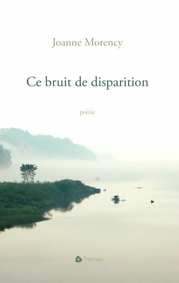 Ce bruit de disparition - Joanne Morency - Éditions Triptyque