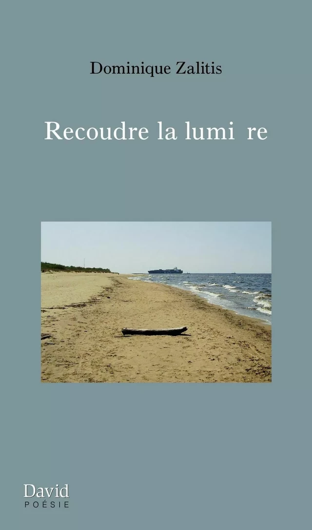 Recoudre la lumière - Dominique Zalitis - Éditions David