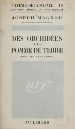 Des orchidées à la pomme de terre