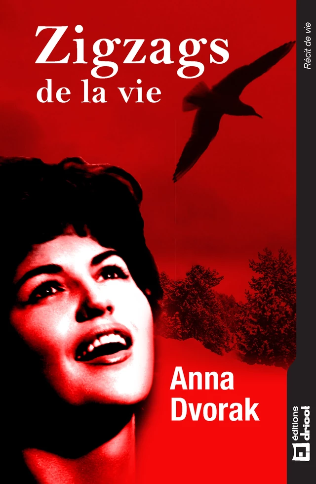 Zigzags de la vie - Anna Dvorak - Dricot