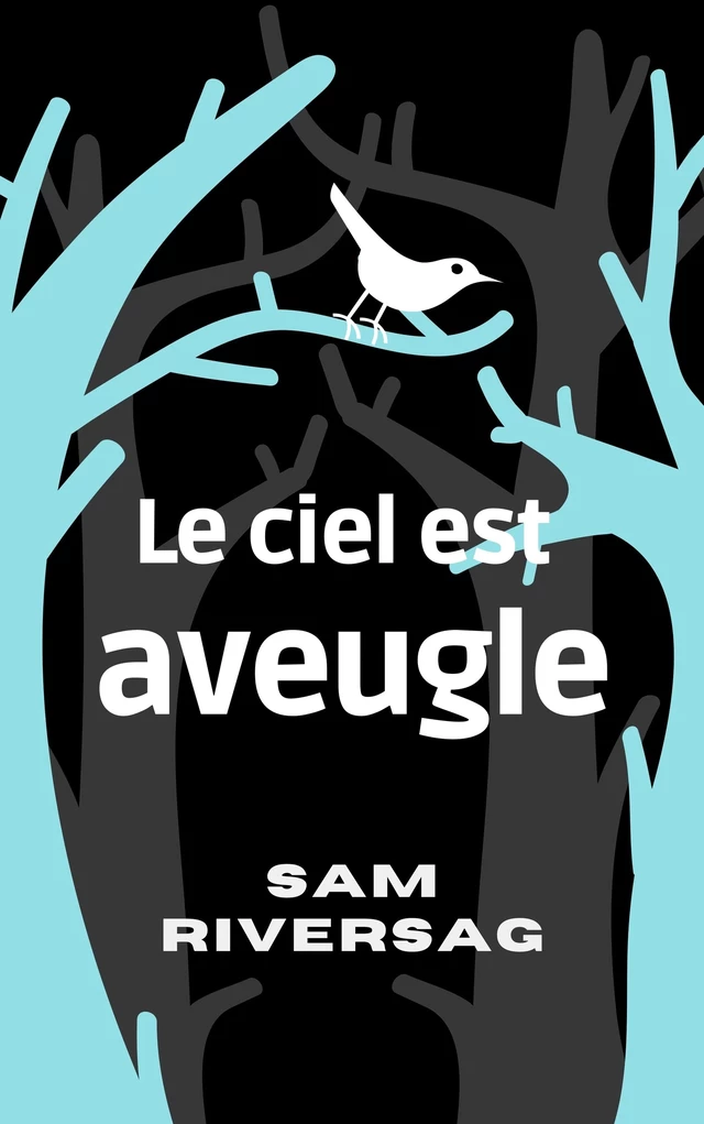 Le ciel est aveugle - Sam RIVERSAG - Bookelis