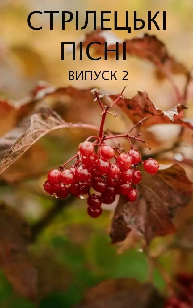 Стрілецькі пісні. Випуск 2 - Микола Вороний, Левко Лепкий, Степан Чарнецький, Григорій Трух, Народна творчість - Andrii Ponomarenko