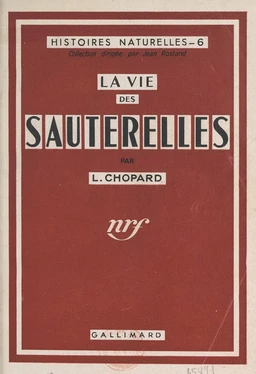 La vie des sauterelles