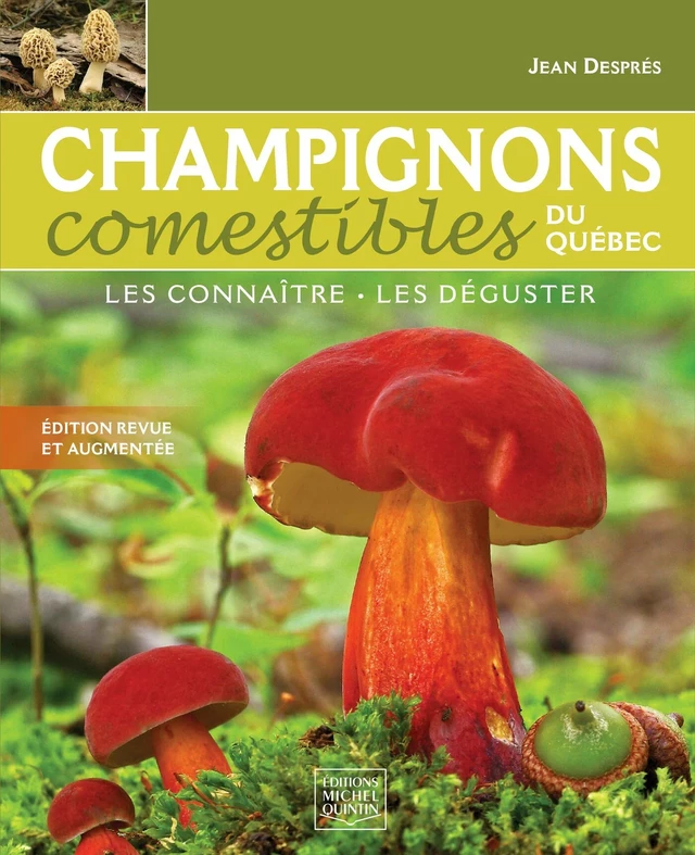 Champignons comestibles du Québec - Les connaître, les déguster - Jean Després - Éditions Michel Quintin