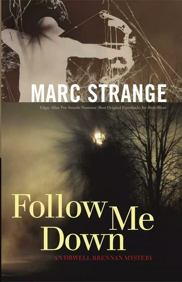 Follow Me Down - Marc Strange, Stephen Brockwell, Ross Pennie - ECW Press