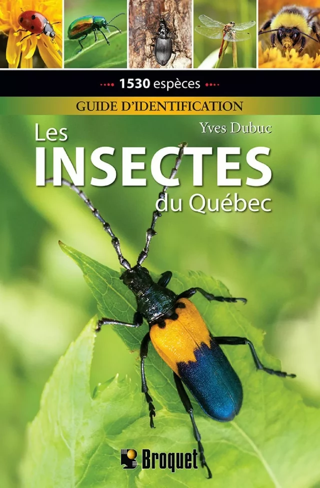 Les insectes du Québec - Guide d'identification - Yves Dubuc - Broquet