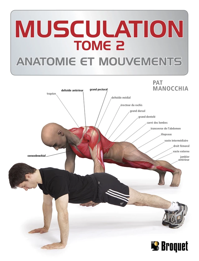 Musculation TOME 2 - Pat Manocchia - Broquet