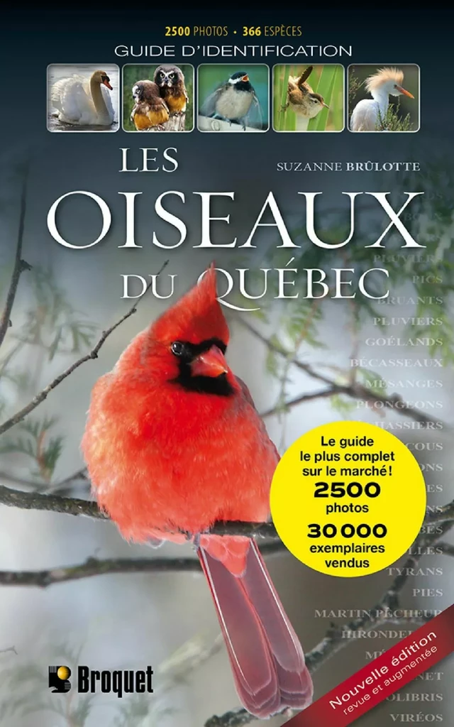 Les oiseaux du Québec - Suzanne Brûlotte - Broquet