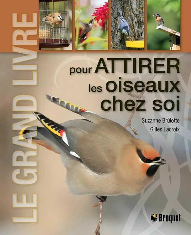 Le grand livre pour attirer les oiseaux chez soi - Suzanne Brûlotte, Gilles Lacroix - Broquet