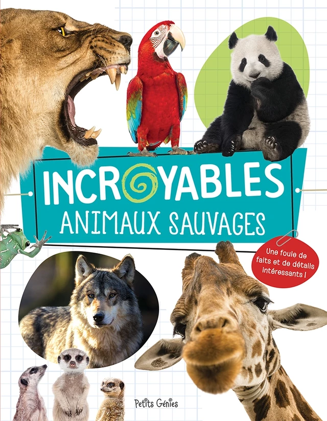 Incroyables animaux sauvages - Danielle Robichaud - Petits Génies