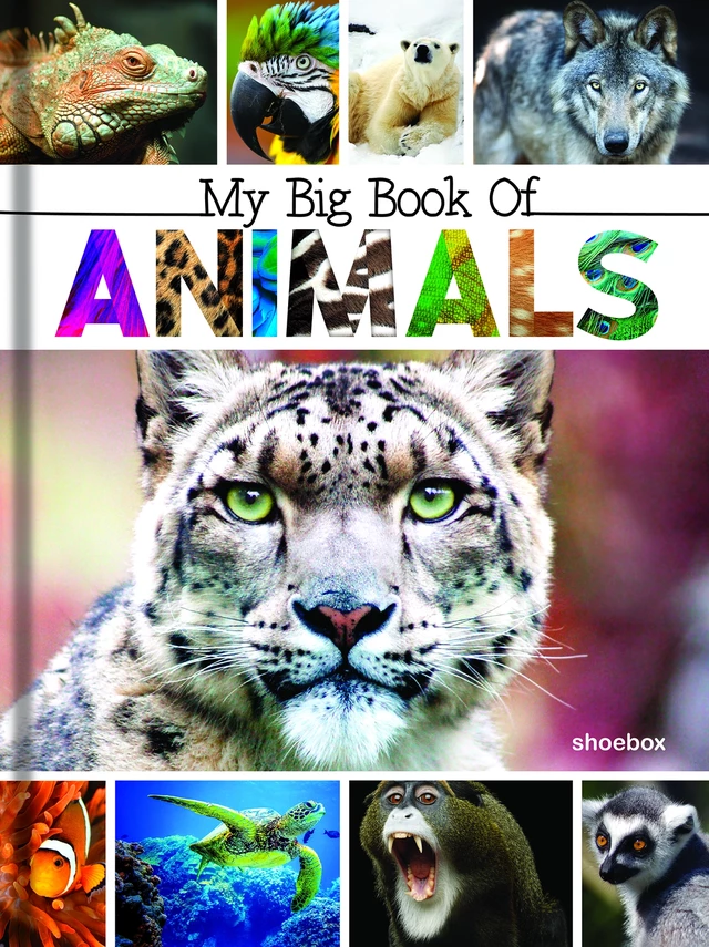 My Big Book of Animals - Claire Chabot - Shoebox MEDIA