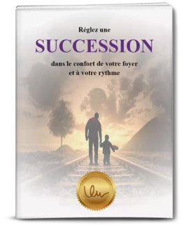 Aide-mémoire Succession