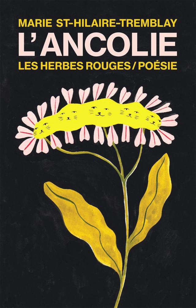 L'ancolie - Marie St-Hilaire-Tremblay - Les Herbes Rouges