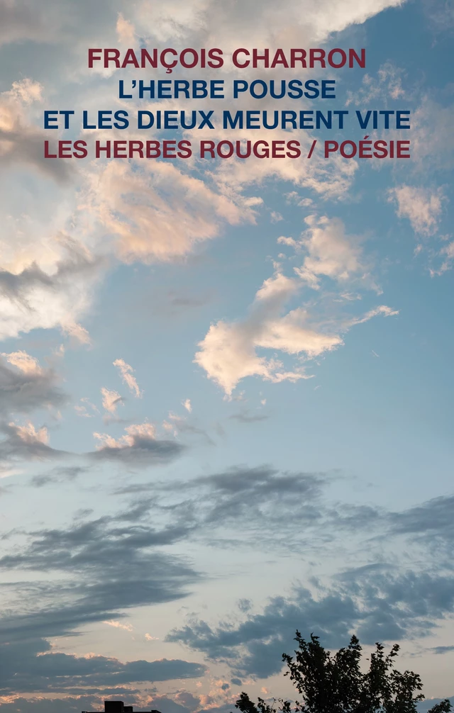 L’herbe pousse et les dieux meurent vite - François Charron - Les Herbes Rouges