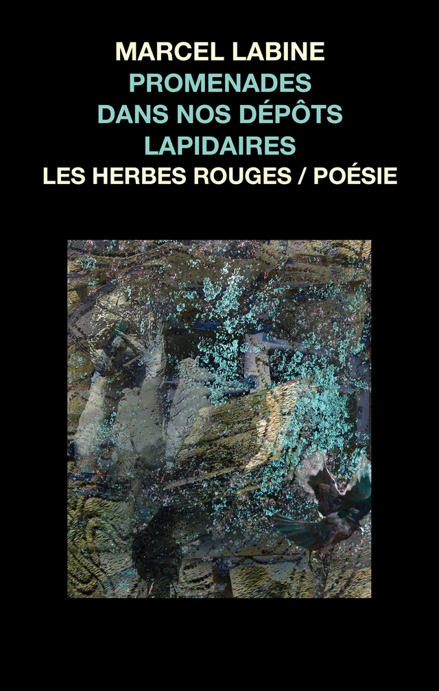 Promenades dans nos dépôts lapidaires - Marcel Labine - Les Herbes Rouges