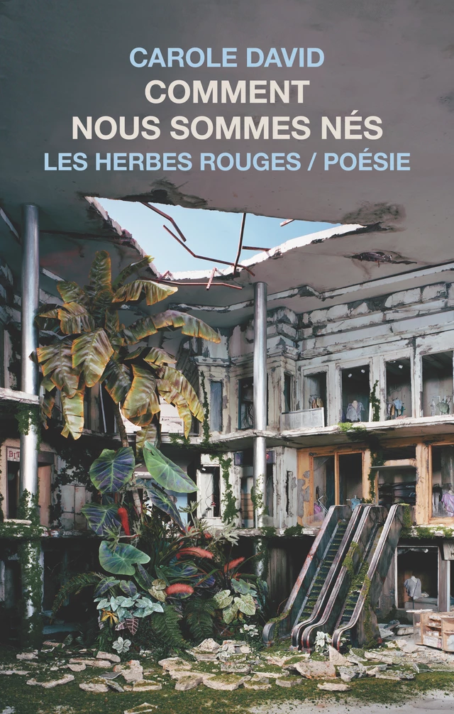 Comment nous sommes nés - Carole David - Les Herbes Rouges