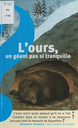 L'ours, un géant pas si tranquille