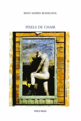 Pixels de chair