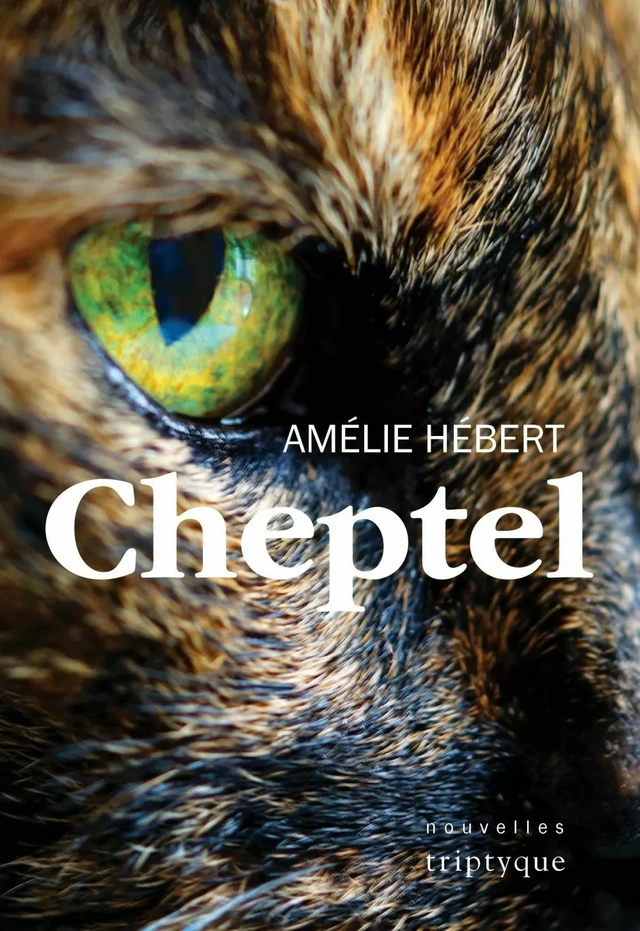 Cheptel - Amélie Hébert - Groupe Nota bene