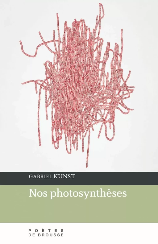 Nos photosynthèses - Gabriel Kunst - Poètes de brousse