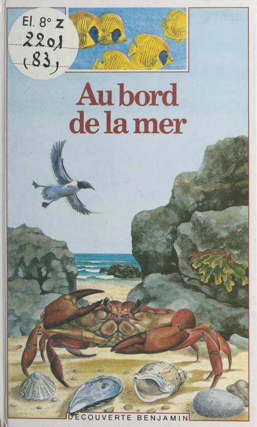 Au bord de la mer - Christine Lazier - (Gallimard Jeunesse) réédition numérique FeniXX