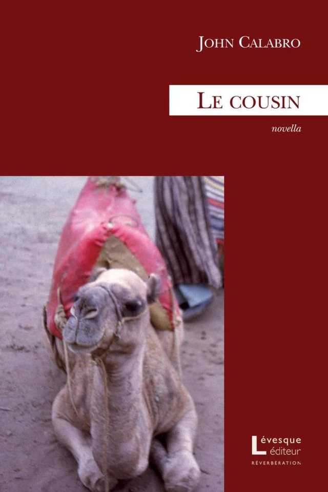 Le cousin - John Calabro - Productions Somme toute