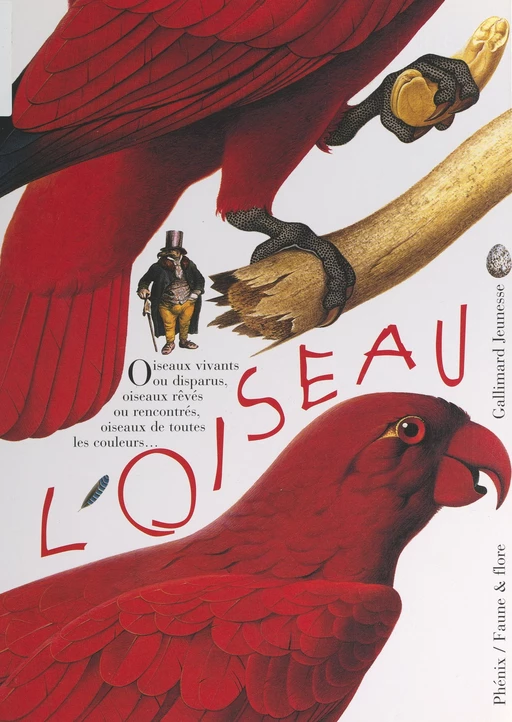 L'oiseau, vivant ou rêvé, peint ou sculpté, observé et identifié, à aimer et à protéger - Marie-Noëlle Fustec, Guilhem Lesaffre - (Gallimard Jeunesse) réédition numérique FeniXX