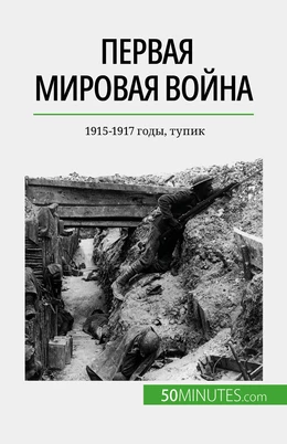 Первая мировая война (Том 2)