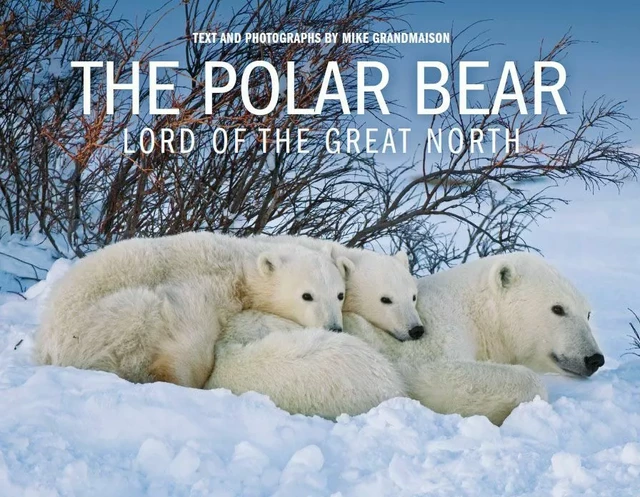 The Polar Bear - Michel Grandmaison - Éditions des Plaines