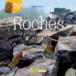 Roches du Québec