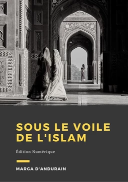 Sous le voile de l'Islam