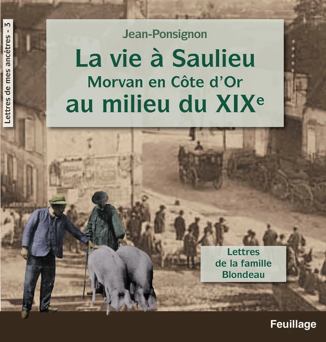 La vie à Saulieu en Morvan (Côte-d'Or) au milieu du XIXe siècle - Jean Ponsignon - Feuillage