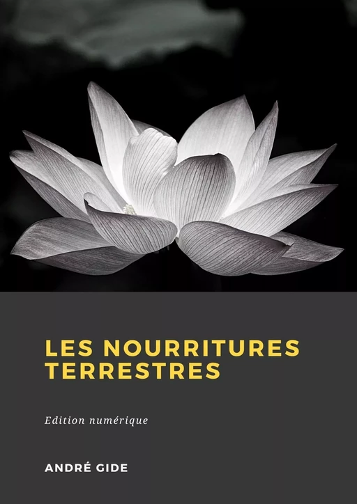 Les Nourritures terrestres - André Gide - Librofilio