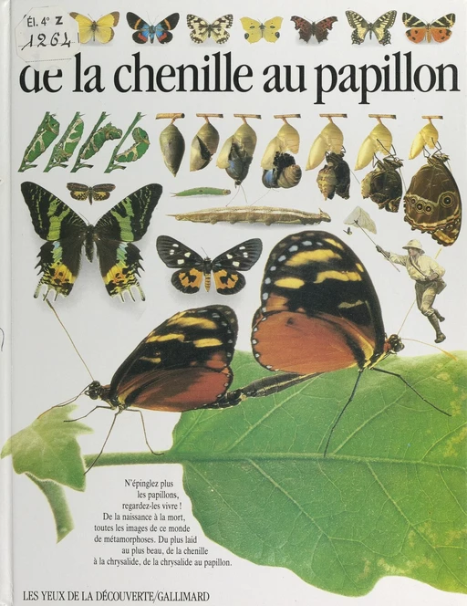 De la chenille au papillon - Paul Whalley - (Gallimard) réédition numérique FeniXX