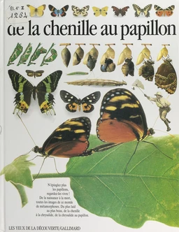 De la chenille au papillon