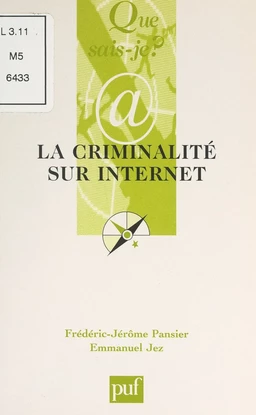 La criminalité sur l'internet