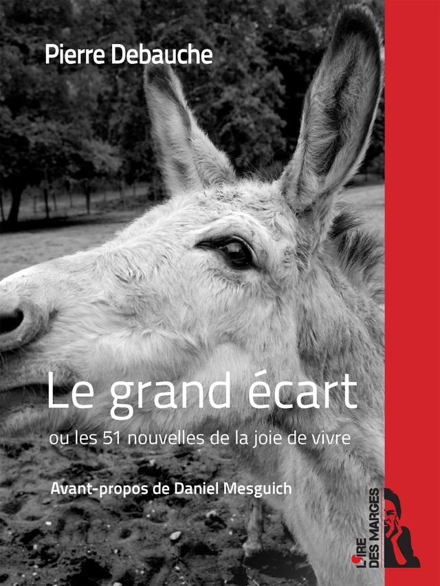 Le grand écart - Pierre Debauche - Ire des marges