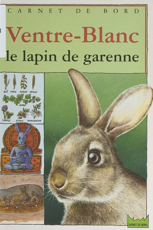 Ventre-Blanc, le lapin de garenne - Louis Berry - (Hachette Jeunesse) réédition numérique FeniXX