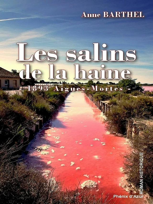 Les salins de la haine - Anne Barthel - Phénix d'Azur éditions