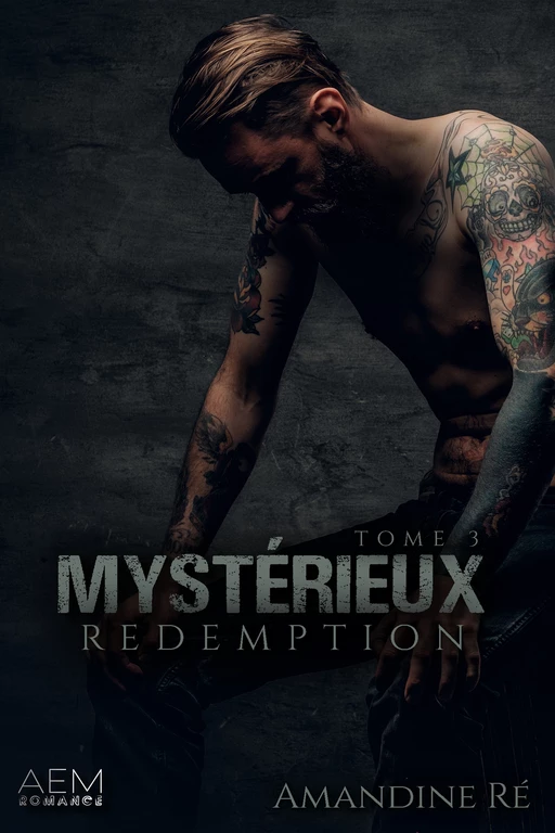 Mystérieux - Tome 3 Rédemption - Amandine Ré - Art en Mots Éditions