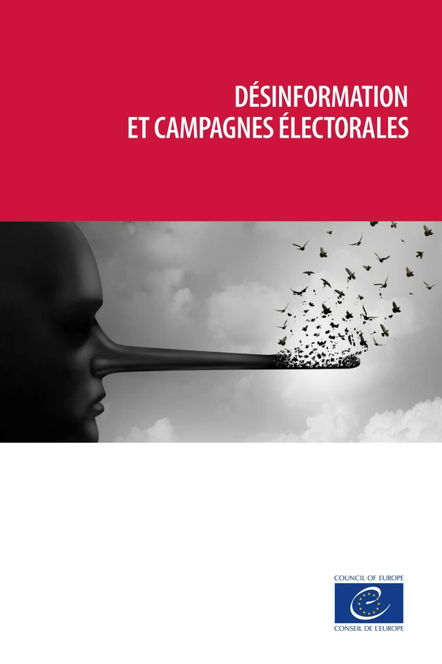 Désinformation et campagnes électorales - Yves-Marie Doublet - Conseil de l'Europe