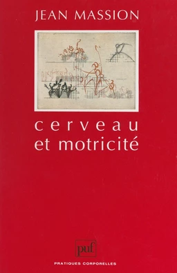 Cerveau et motricité