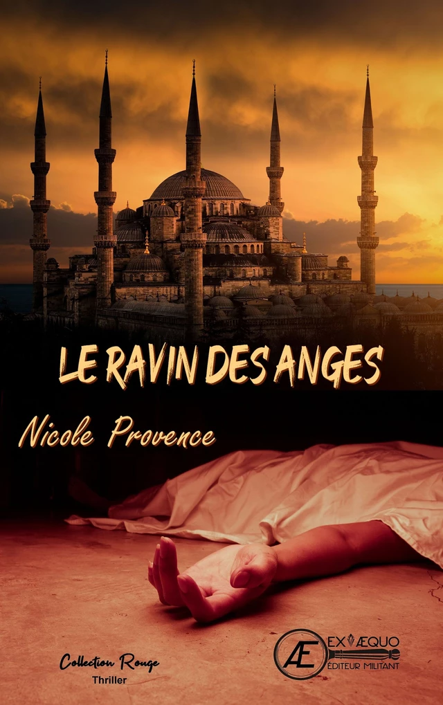 Le ravin des anges - Nicole Provence - Ex Aequo