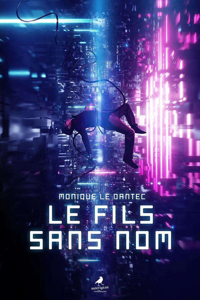 Le fils sans nom - Monique Le Dantec - Morrigane Éditions