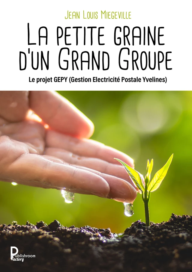 La petite graine d'un Grand Groupe - Jean Louis Miegeville - Publishroom