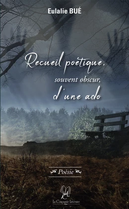 Recueil poétique, souvent obscur, d'une ado