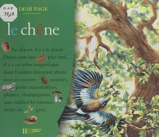 Le chêne - Laurence Ottenheimer - (Hachette Jeunesse) réédition numérique FeniXX