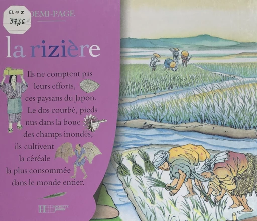 La rizière - Laurence Ottenheimer - (Hachette Jeunesse) réédition numérique FeniXX